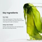 Biodance Refreshing Sea Kelp Real Deep Mask - Καταπραυντική Gel Μάσκα - Image 3